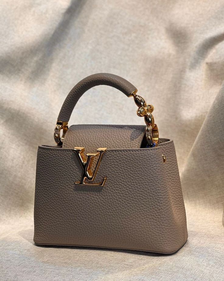 LOUIS VUITTON Luxe Elegance Mini Tote – Ivory Edition